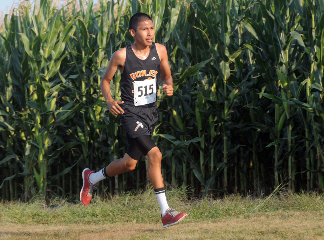 Area cross country preview capsule
